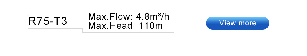 2 submersible well pump 2 bombas submersíveis