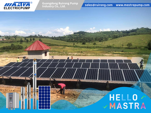 Motor submersível de 50Hz