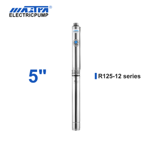 Bomba submersível de 5 polegadas Mastra de 60 Hz - Série R125 12 M³/h Caudal nominal 